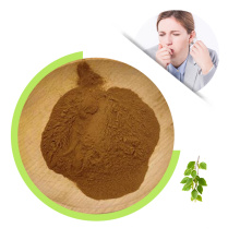 Click China Factory Cheap Price Food Use Raw Material Betula Alba Birch Leaf Extract